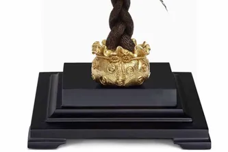Bảo Hành Trọn Đời & Hoàn Tiền 300% Với Cây Kim Ngân Mạ Vàng 24K - Mua Là Lãi!