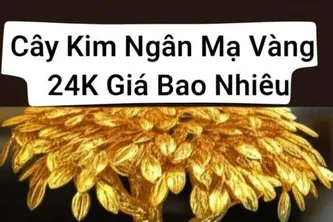 Cây Kim Ngân Mạ Vàng 24K Giá Bao Nhiêu? Bật Mí 3 Cửa Hàng Uy Tín!