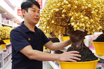Cây Kim Ngân Mạ Vàng - Món Quà Tặng Sang Trọng Cho Mọi Đối Tượng