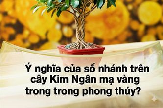 Tiết Lộ Bí Mật: Chọn Sai Số Nhánh Cây Kim Ngân Mạ Vàng, Tài Lộc Biến Mất!