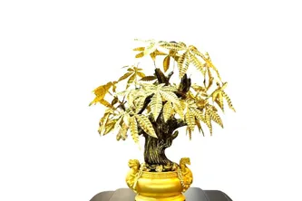 Cây kim ngân mạ vàng – Món quà tài lộc cho lãnh đạo