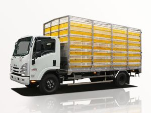 Xe Tải Isuzu NQR NQR75ME5 4 Tấn Chở Gia Cầm