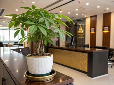 Quà tặng sếp mệnh Hỏa – Gợi ý sang trọng mang năng lượng tích cực