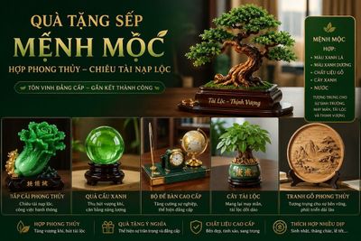 Top 10+ Quà Tặng Sếp Mệnh Mộc Hợp Phong Thủy – Chiêu Tài Nạp Lộc